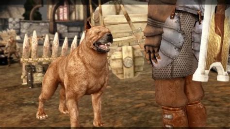 Dragon age extra dog slot  I blow the whistle the dog appears for a few seconds and then fades away